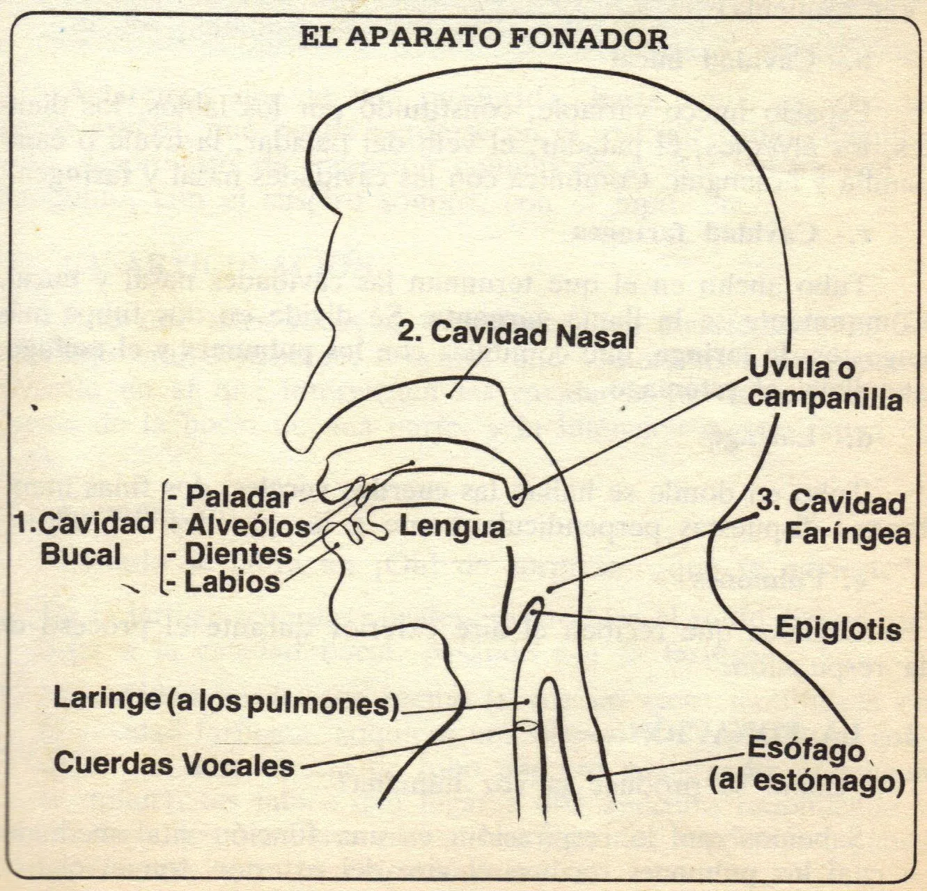 Pin Interpretación De Dibujo Falta Motivación Por Ser Un Solo ... Pin Interpretación De Dibujo Falta Motivación Por Ser Un Solo ...