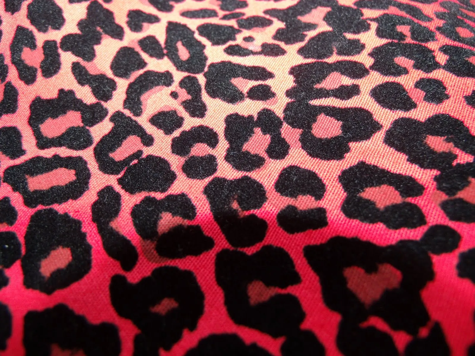 Pin Leopard Skin Ipad Wallpaper Iphone Hd Free on Pinterest