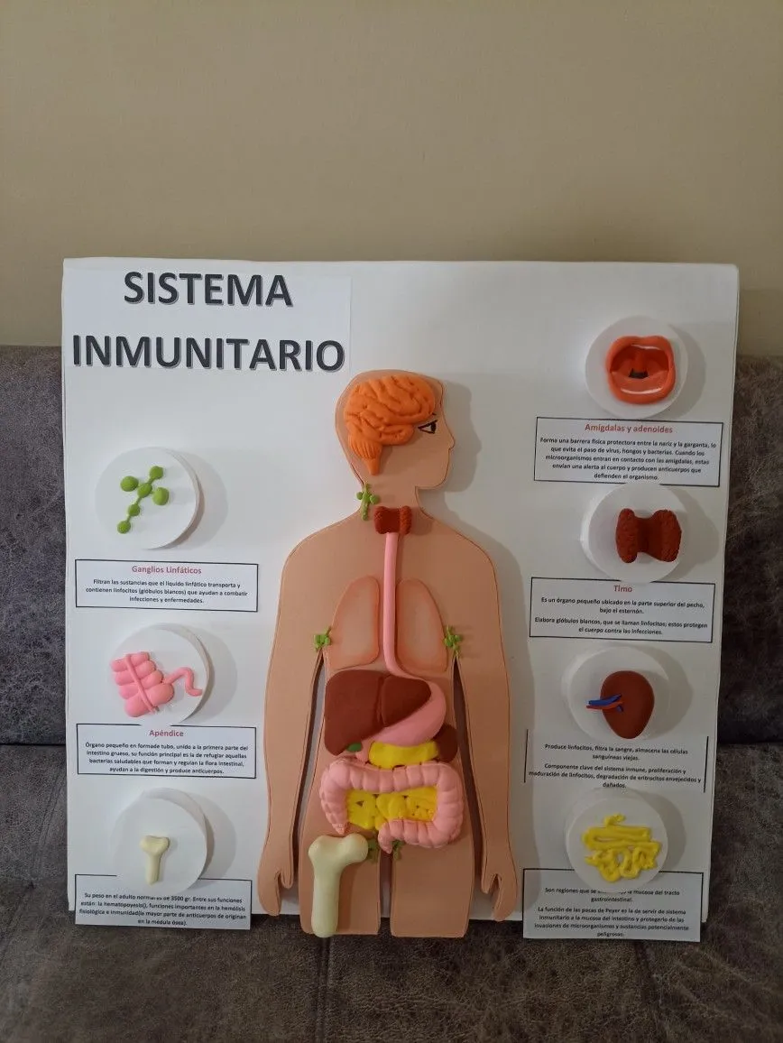Pin en Maquetas y manualidades