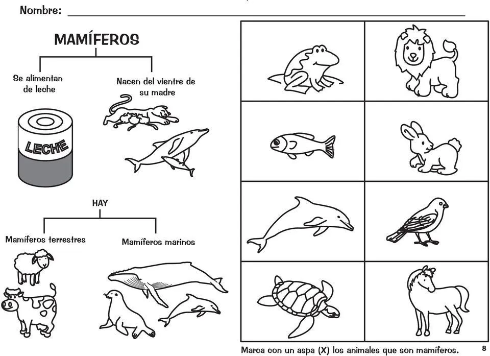 Pin de Melany Yasmin Ramirez en Recta numerica | Animales oviparos y  viviparos, Problemas matemáticos, Animales oviparos