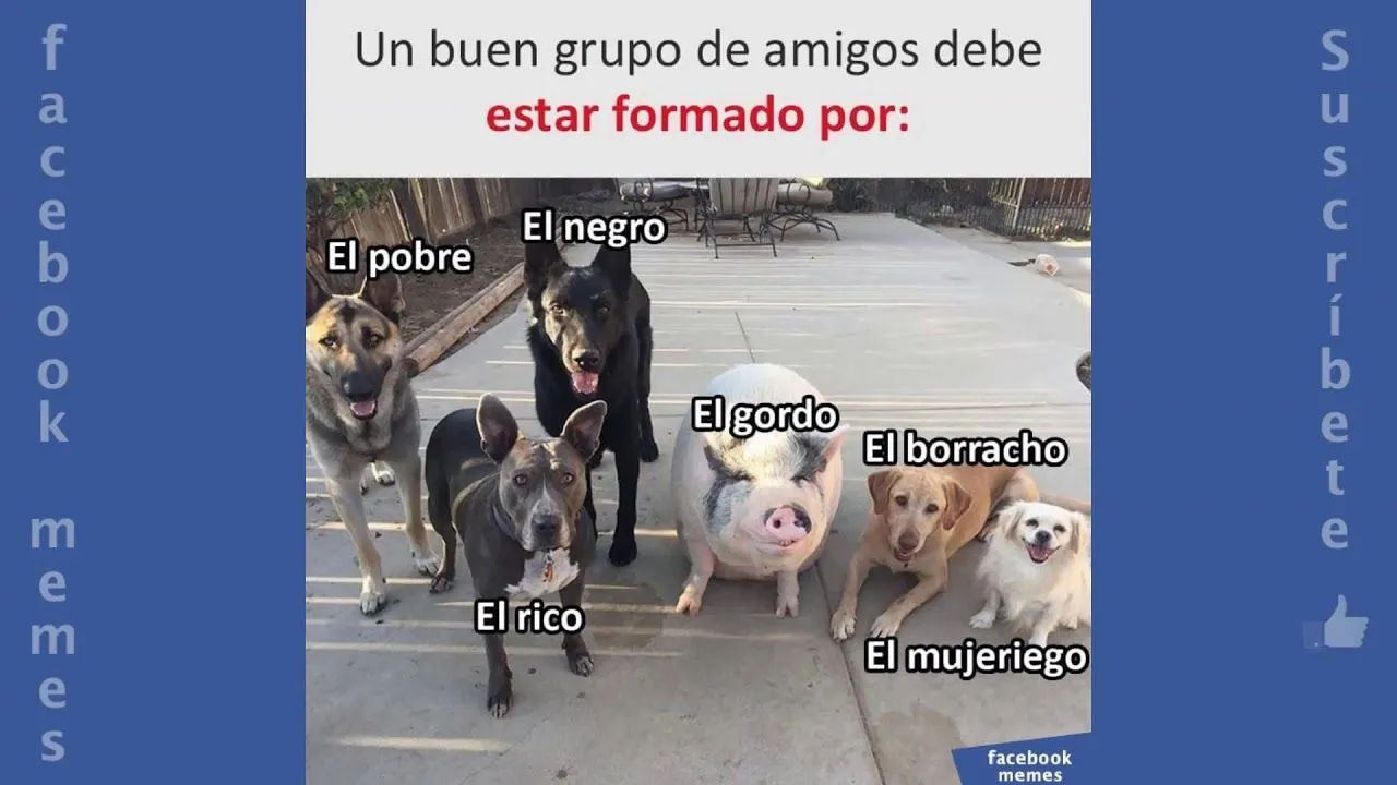 Pin en Memes divertidos para facebook
