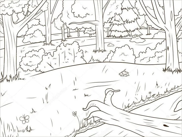 Pin de Moises Alejandro Carlos Garcia en Guardado rápido | Bosque tropical, Bosque, Dibujos Pin de Moises Alejandro Carlos Garcia en Guardado rápido | Bosque tropical, Bosque, Dibujos