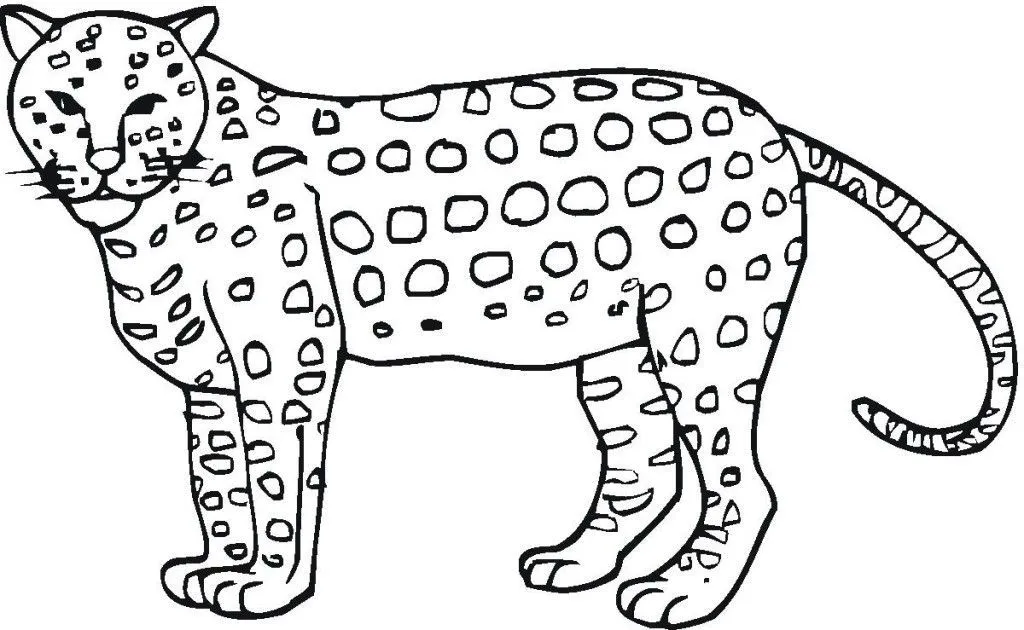 Pin on Animal Coloring Pages