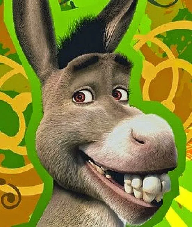 Pin on FRaSeS 2 Pin on FRaSeS 2