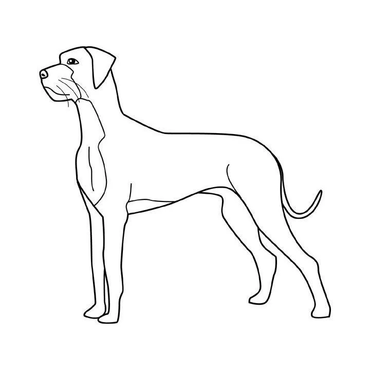 Pin Perro Pitbull Dibujo Perros Graffiti Dibujos Pic on Pinterest Pin Perro Pitbull Dibujo Perros Graffiti Dibujos Pic on Pinterest