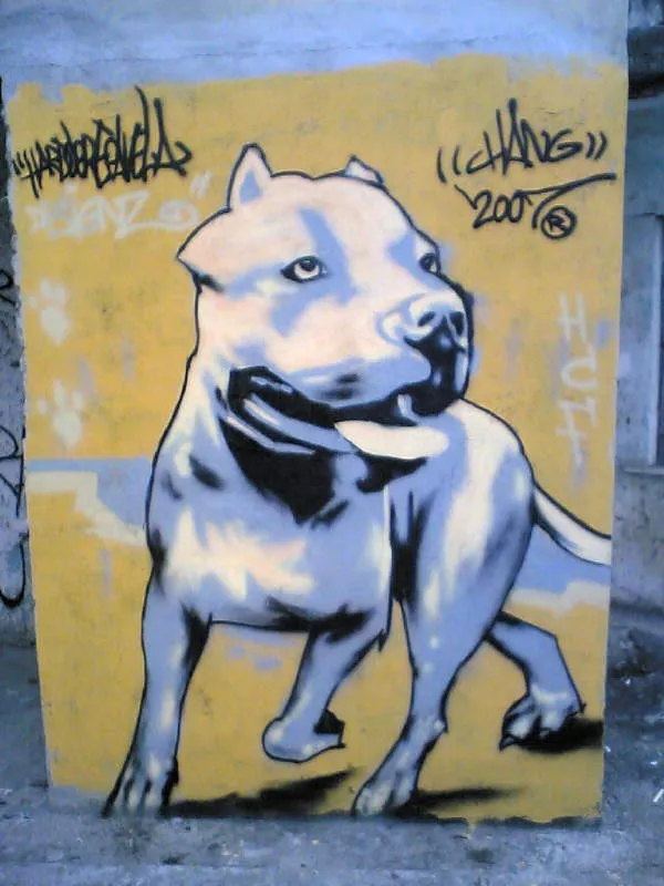 Pin Perros Pitbull Caricatura Hawaii Dermatology Graffiti Mata on ... Pin Perros Pitbull Caricatura Hawaii Dermatology Graffiti Mata on ...