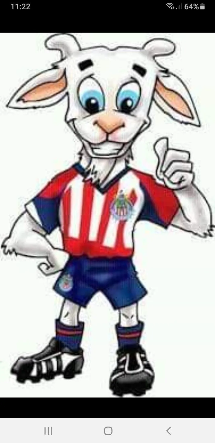 Pin de peter en chivas y ya | Imagenes chivas, Chivas rayadas, Chivas Pin de peter en chivas y ya | Imagenes chivas, Chivas rayadas, Chivas