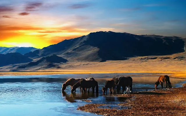Pin Pin Paisajes Hd 1366x768 Fondos De Pantalla Imagenes ... Pin Pin Paisajes Hd 1366x768 Fondos De Pantalla Imagenes ...