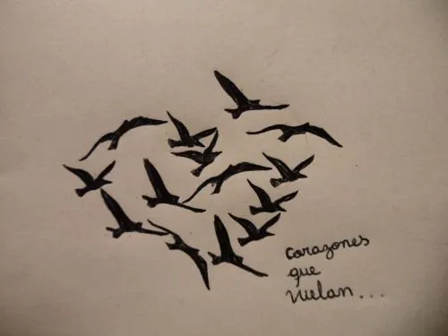 Imagenes de pajaros tumblr - Imagui