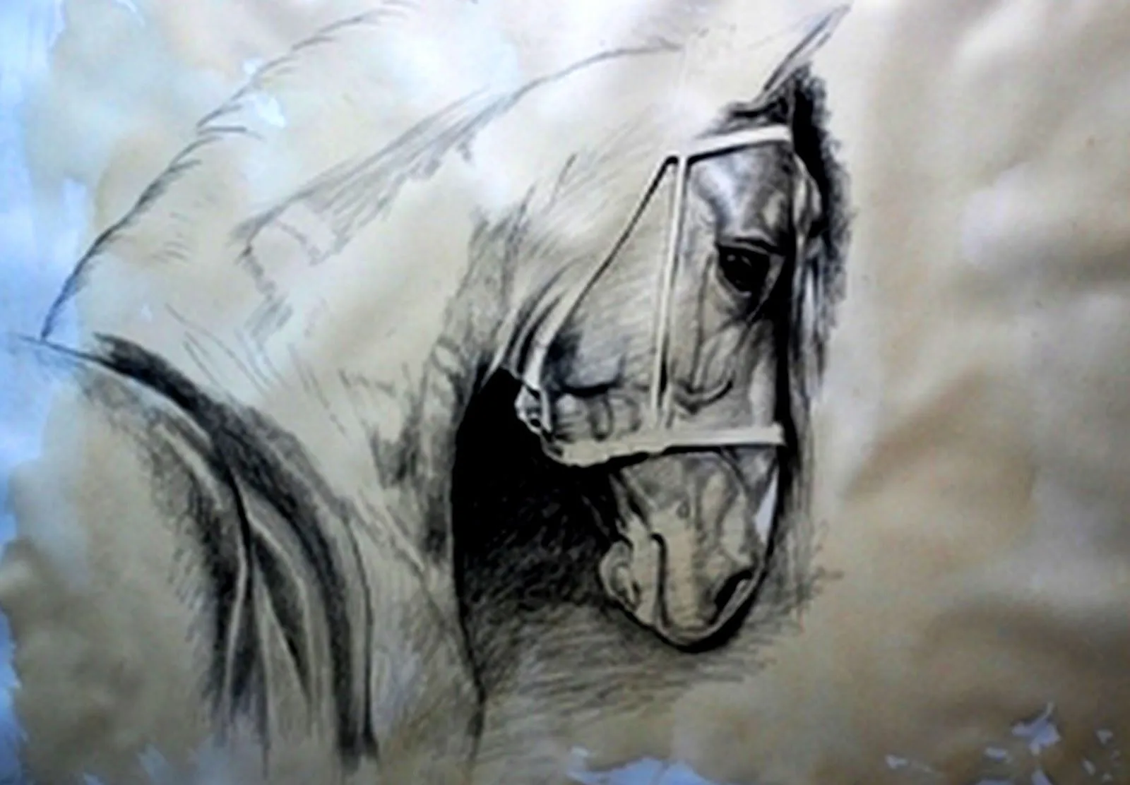Pin Pinturas De Caballos Al Oleo on Pinterest Pin Pinturas De Caballos Al Oleo on Pinterest