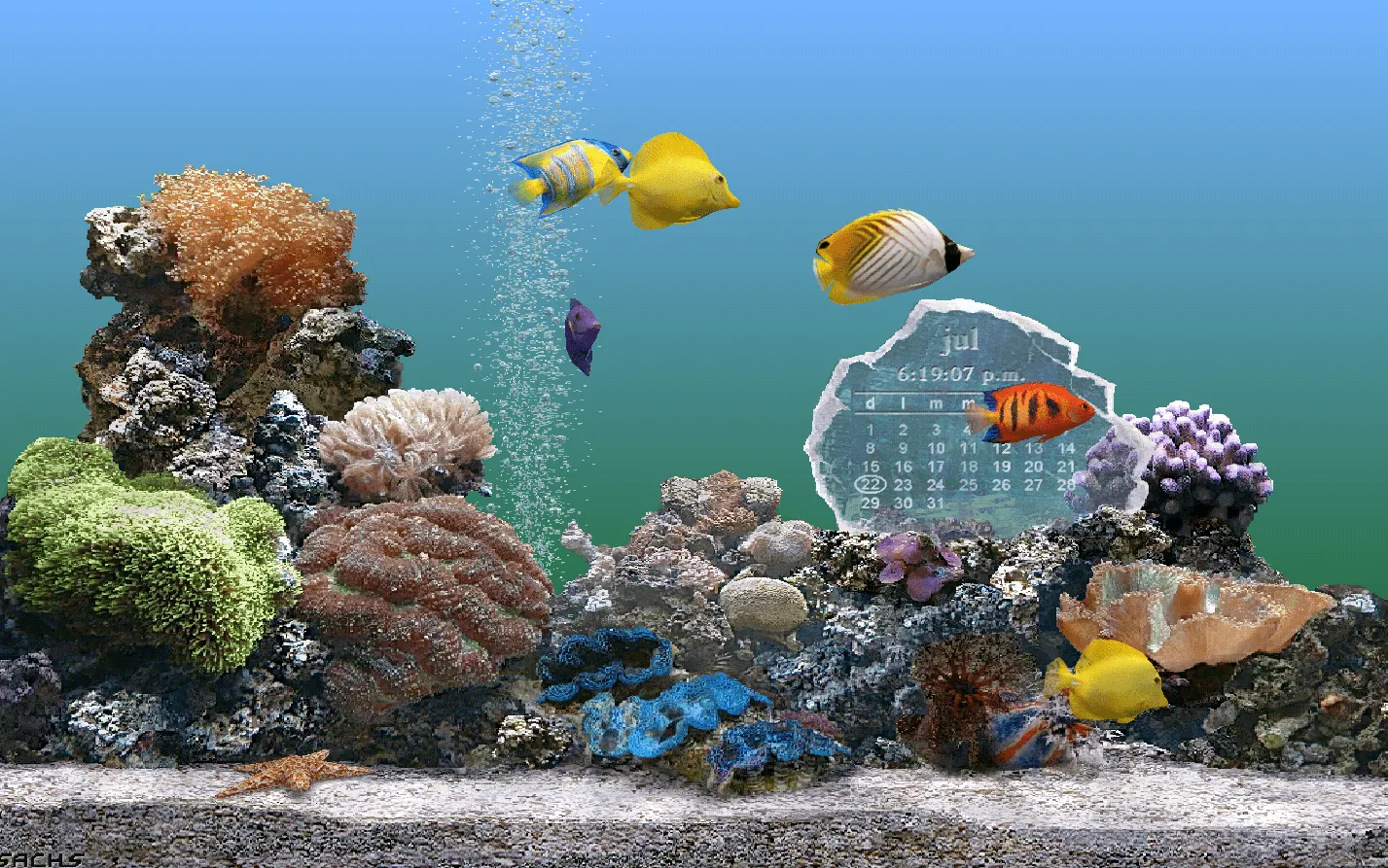 Opiniones de Protector de pantalla