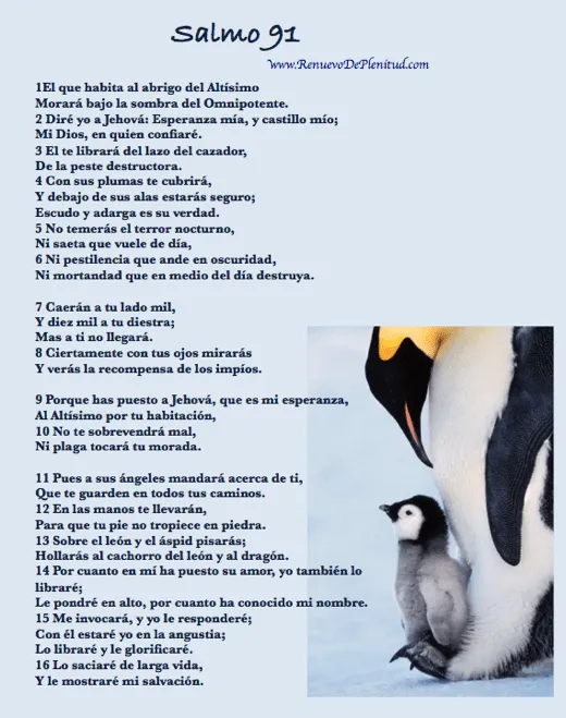 Pin Salmo 1 on Pinterest