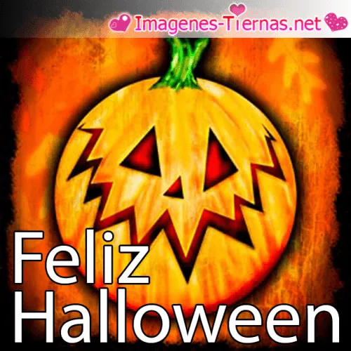 Imagen de brujitas tiernas - Imagui