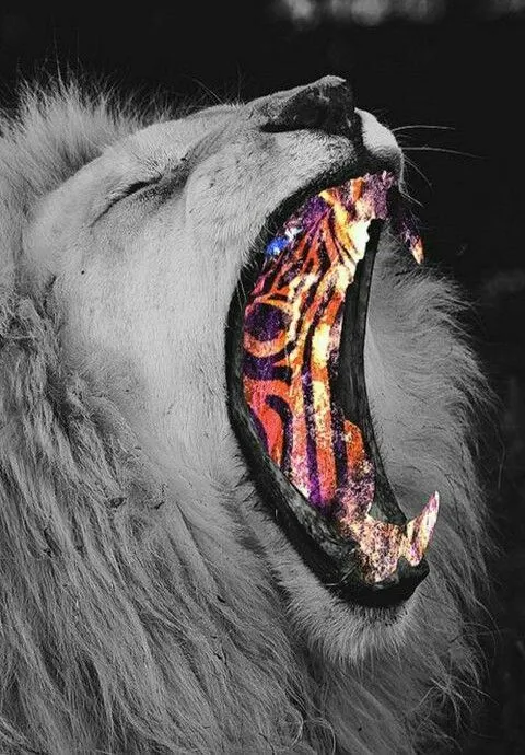 Pin de Veronica Caceres en dibujos | Pinterest | Heno, Hipsters y ... Pin de Veronica Caceres en dibujos | Pinterest | Heno, Hipsters y ...