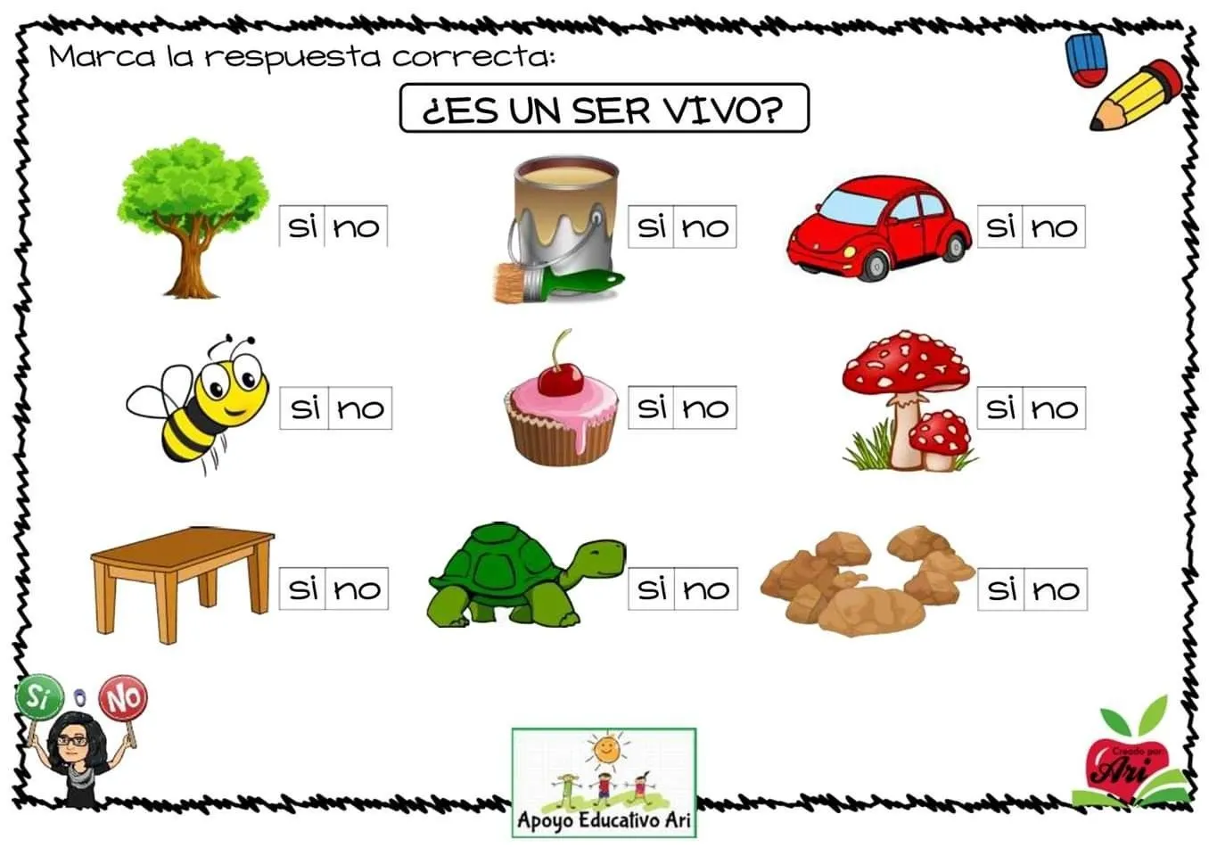 Pin de Yomalis Vargas Castillo en seres vivos y no vivos | Ciclo de vida de  la mariposa, Actividades, Actividades de aprendizaje preescolares