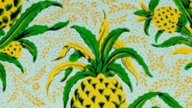 la piña | Tumblr