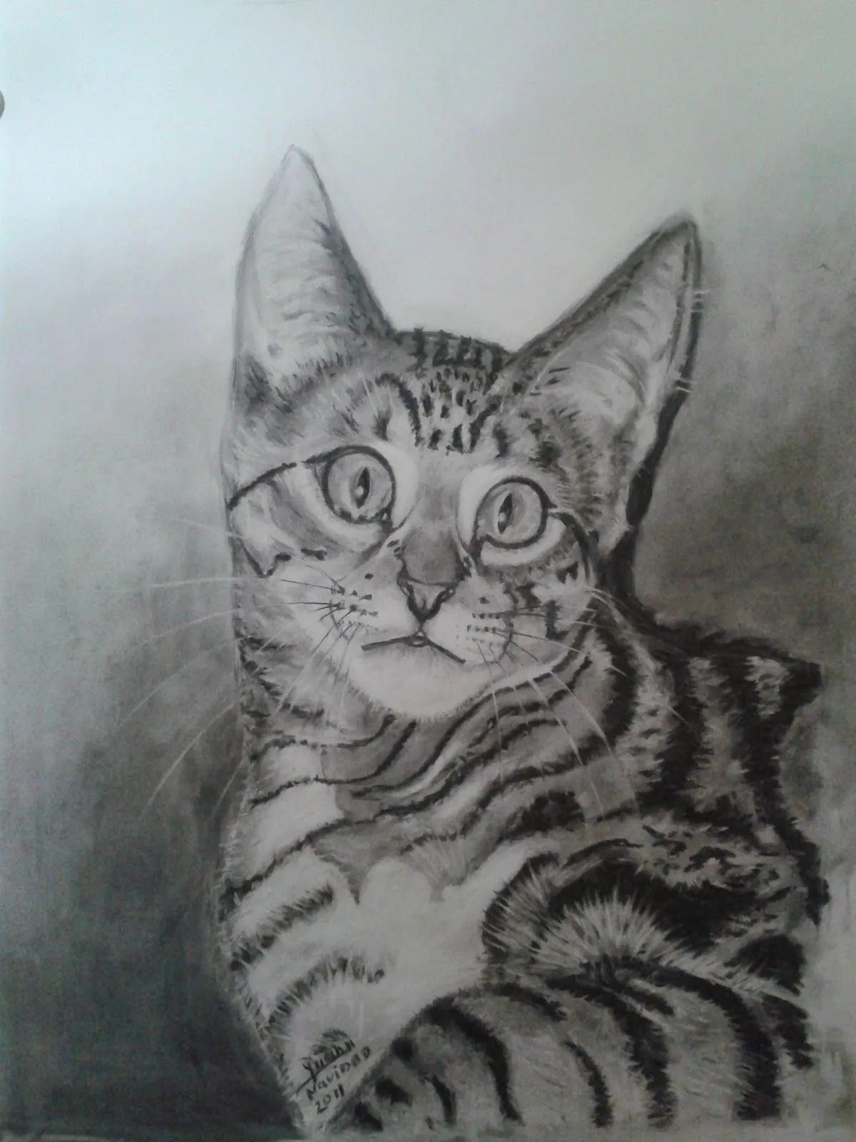 Pinceladas: Gato al carboncillo