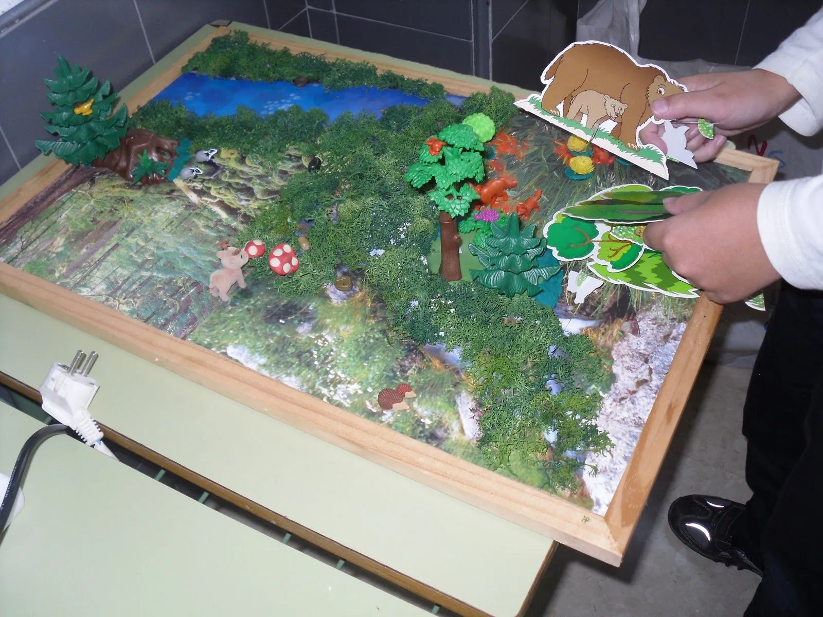 Pinceladas de ilusión: ECOSISTEMAS