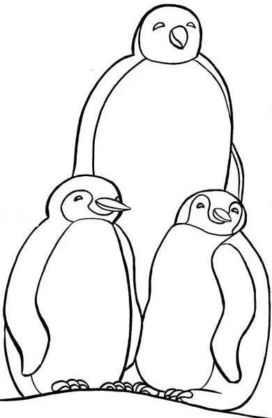 Pinguino para pintar - Imagui