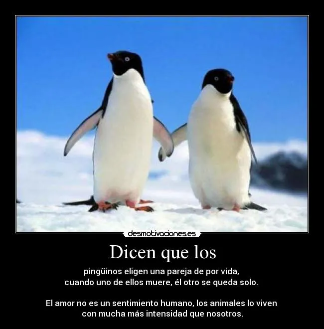 Dicen que los | Desmotivaciones