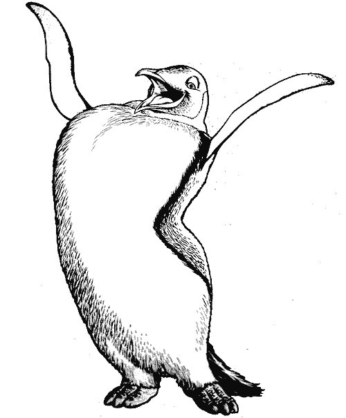 Dibujos para colorear de Pinguinos, Spheniscidae, Pingüino ...