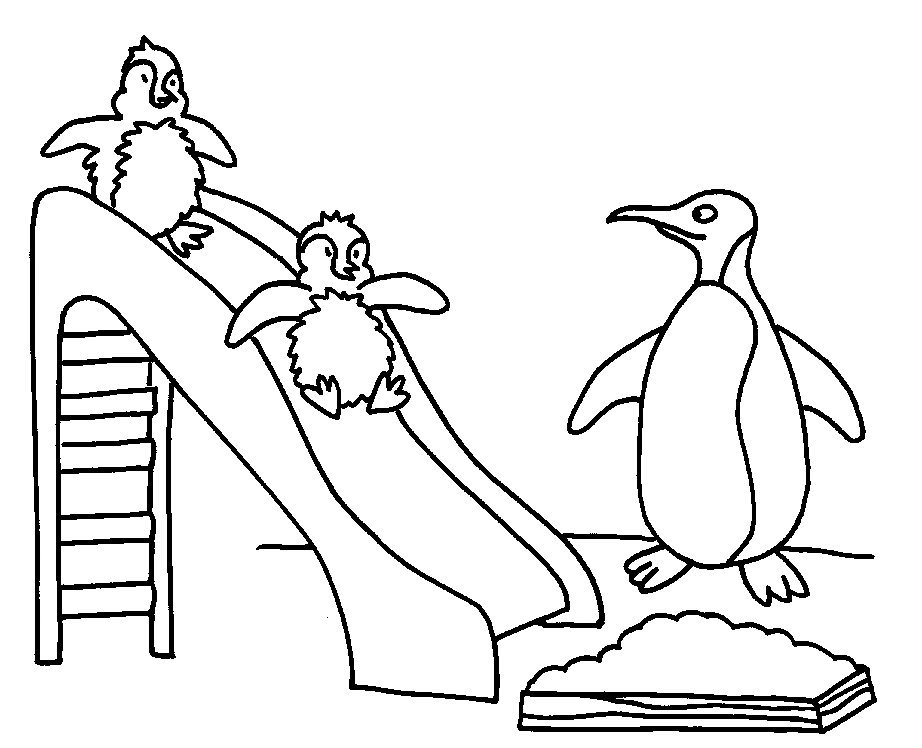 Pinguinos jugando en un tobogan