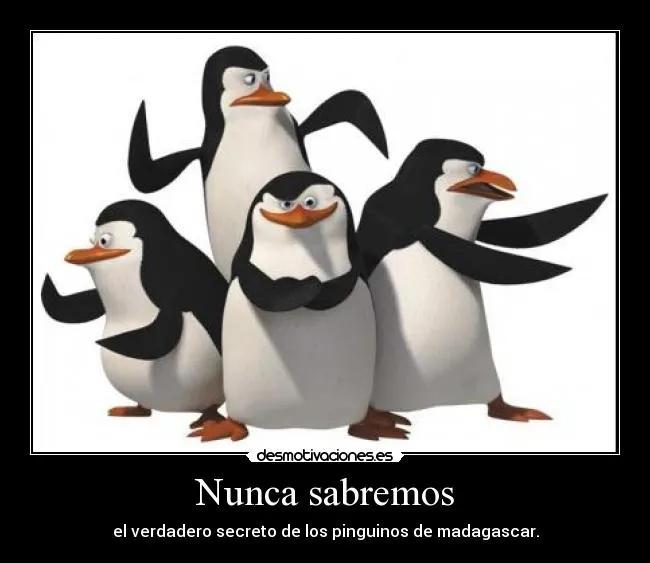 Pinguinos de madagascar chistosas - Imagui