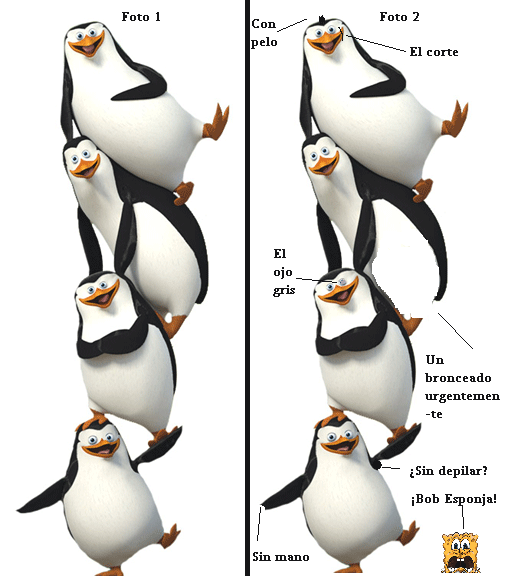 Los pinguinos de madagascar gif - Imagui