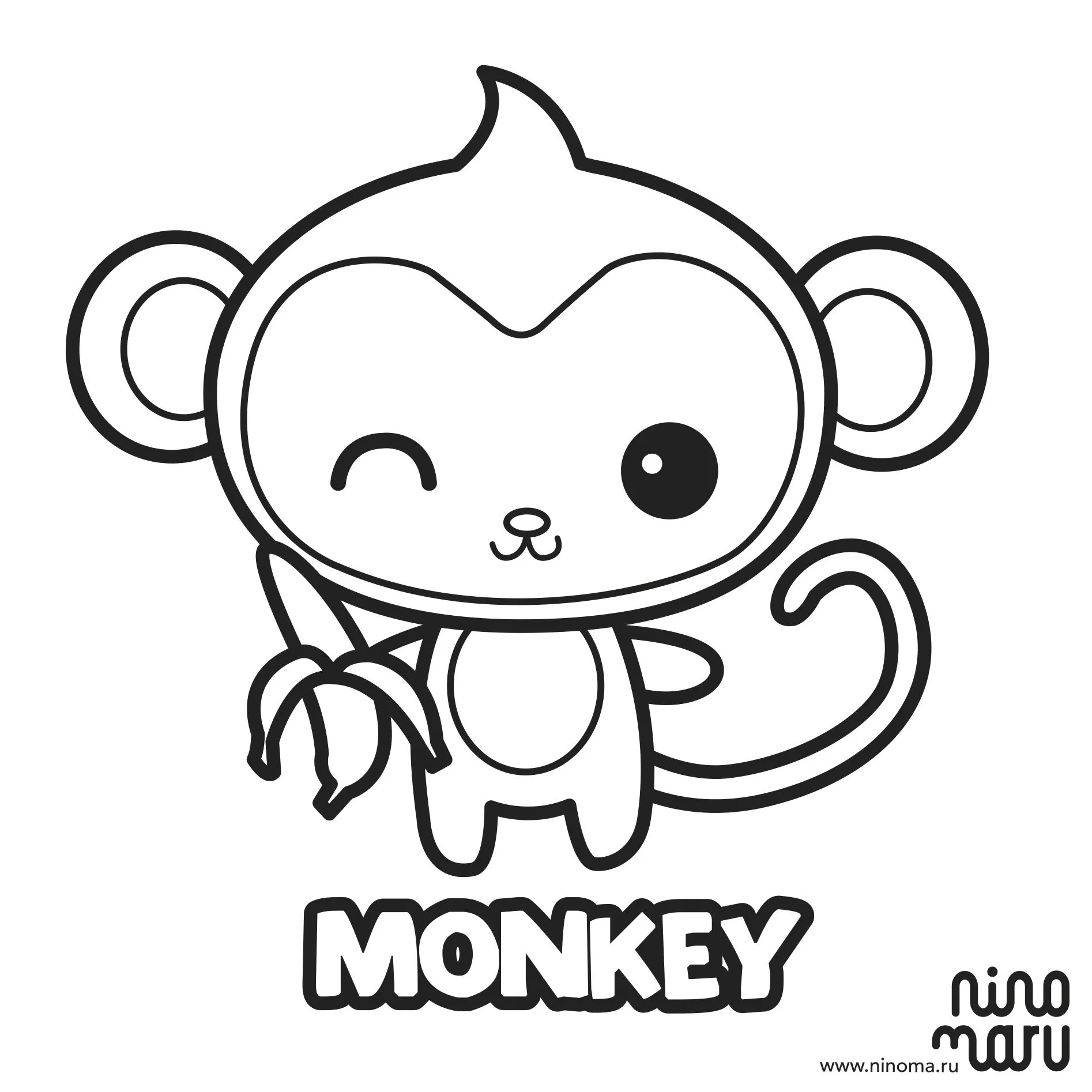 Monkey | Ninomaru