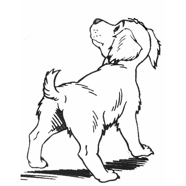 Perro para pintar e imprimir. - Dibujos para Colorear e Imprimir Perro para pintar e imprimir. - Dibujos para Colorear e Imprimir