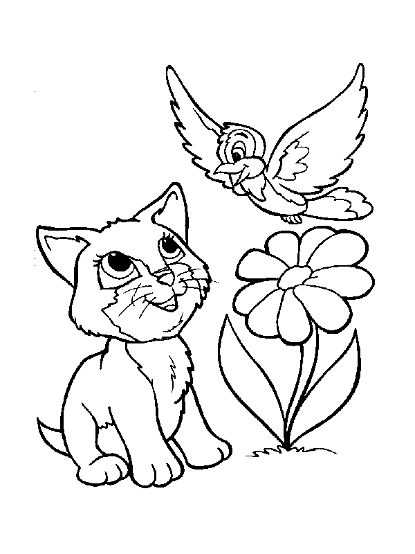 Dibujos para pintar y colorear