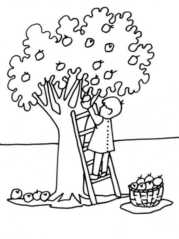 Pintando y coloreando postales del campo