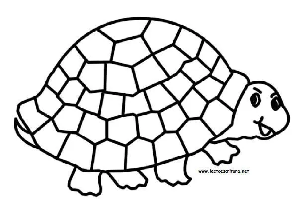Pintar tortugas. Colorear tortugas.