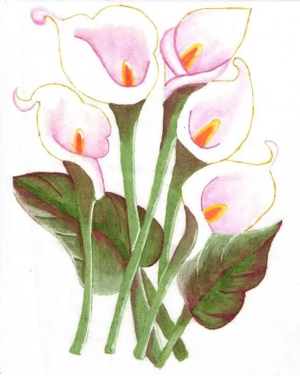 Como pintae calas - Imagui