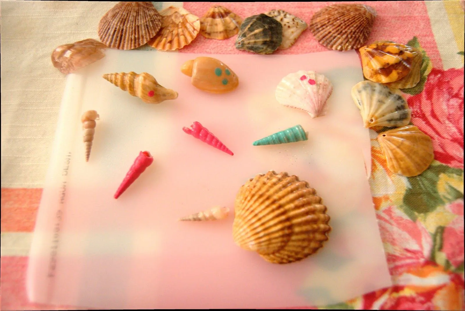 Pintar conchas - Imagui