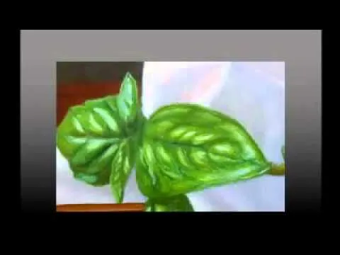 Como Pintar al Oleo Paso a Paso para Principiantes - Curso de ... Como Pintar al Oleo Paso a Paso para Principiantes - Curso de ...