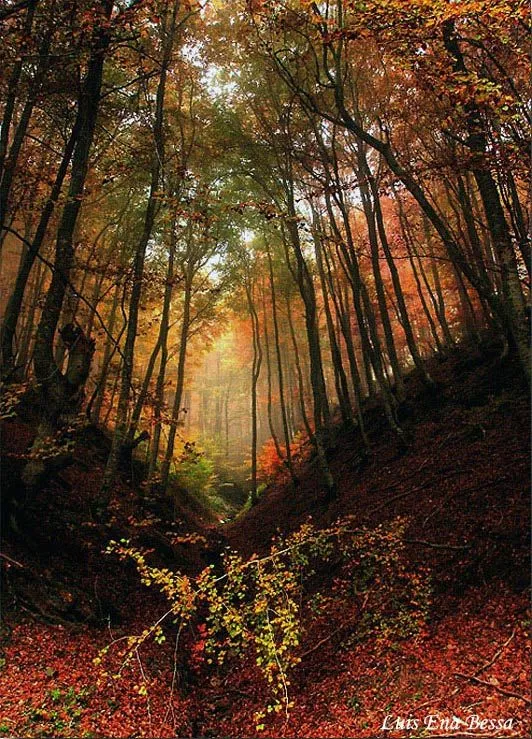 Pintar el Otoño | Pintura y Artistas