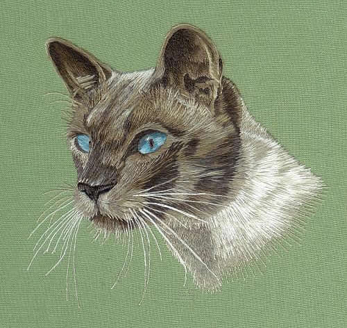 Cómo pintar el pelo de un animal