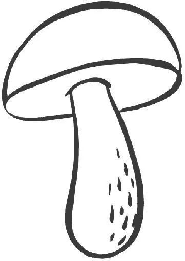 PINTAR SETAS – DIBUJOS DE CLASES DE SETAS PARA COLOREAR