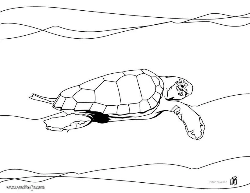 Dibujos para colorear tortuga kikila - es.hellokids.com Dibujos para colorear tortuga kikila - es.hellokids.com