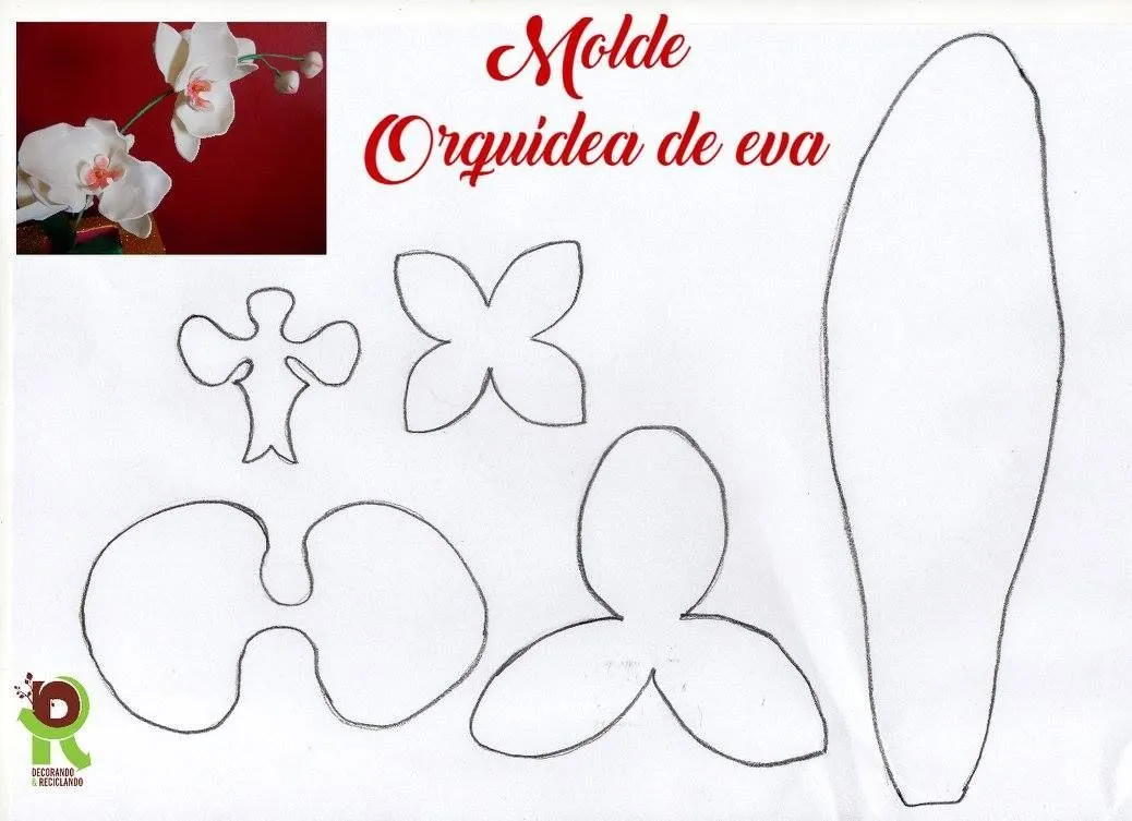 Pinterest | Flor de paper, Plantillas para flores de papel, Rosa de papel Pinterest | Flor de paper, Plantillas para flores de papel, Rosa de papel