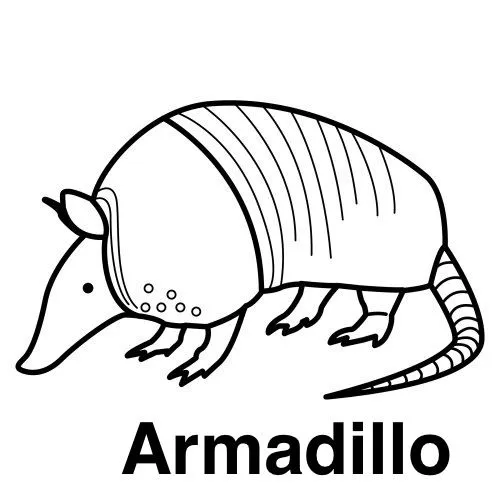 Pinto Dibujos: Armadillo para colorear