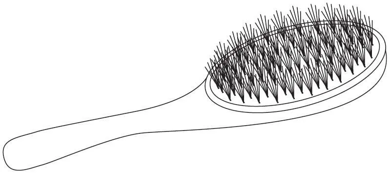 Pinto Dibujos: Cepillo de cerdas para colorear Pinto Dibujos: Cepillo de cerdas para colorear