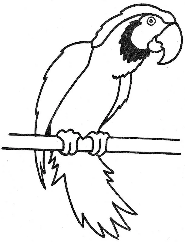 Pinto Dibujos: Guacamaya para colorear