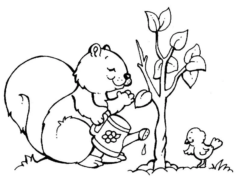 Pinto Dibujos: Imagenes de ardilla cuidando el medio para colorear ... Pinto Dibujos: Imagenes de ardilla cuidando el medio para colorear ...