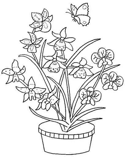 Dibujos para colorear de la orquidea - Imagui Dibujos para colorear de la orquidea - Imagui