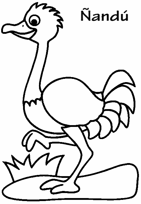Pinto Dibujos: Ñandú para colorear