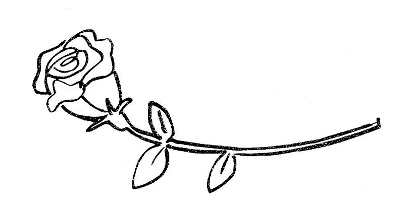 Pinto Dibujos: Rosa para colorear