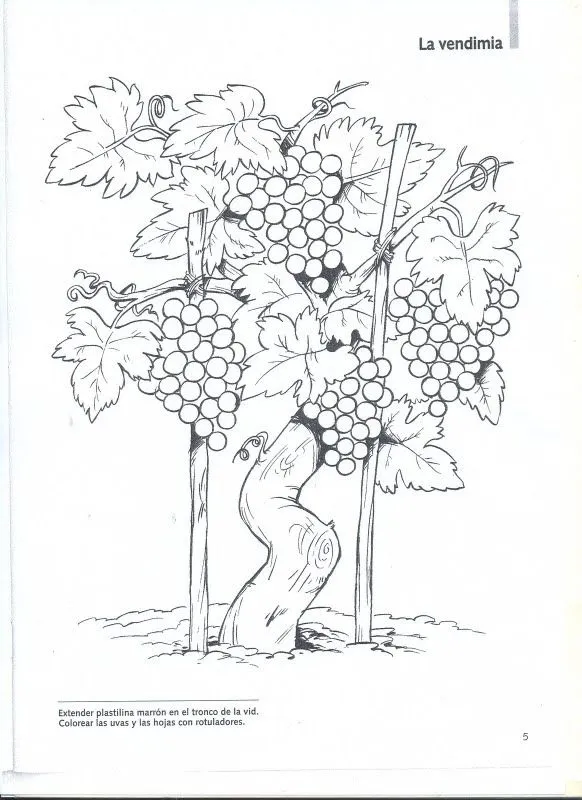 Pinto Dibujos: Vid para colorear