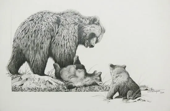 El pintor y la Naturaleza - Wildlife Art: Los osos de Bateman. El pintor y la Naturaleza - Wildlife Art: Los osos de Bateman.